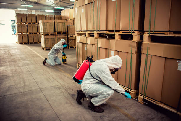 Best Bed Bug Extermination  in Hoover, AL