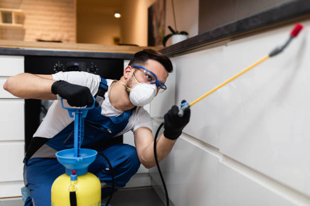 Best Local Pest Control Services  in Hoover, AL