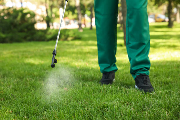 Best Mosquito Control Services  in Hoover, AL