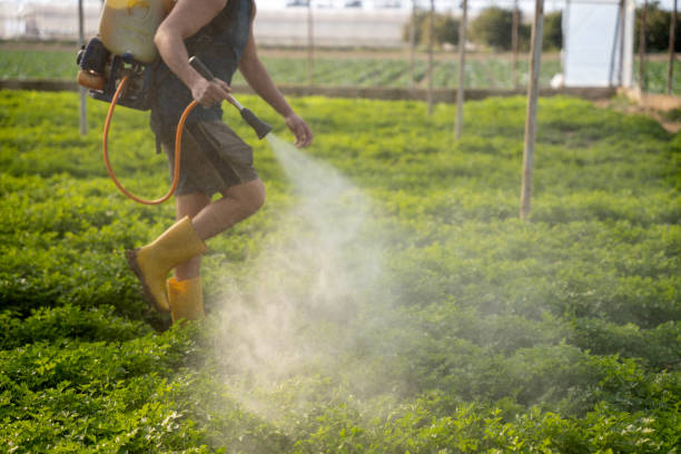 Best Best Pest Control Companies  in Hoover, AL