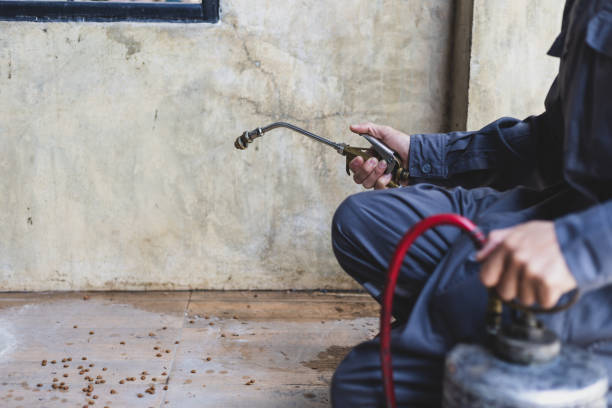 Reliable Hoover, AL Pest Control Solutions