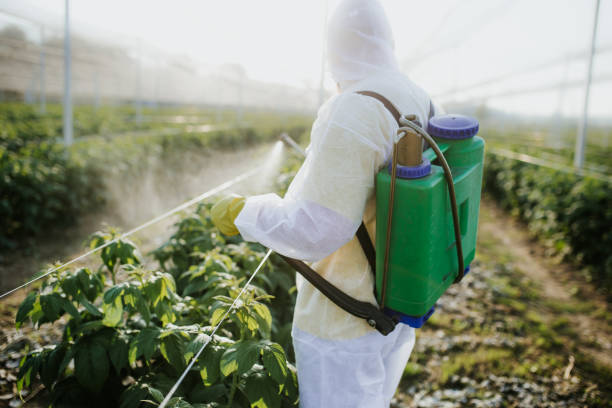 Best Best Pest Control Companies  in Hoover, AL